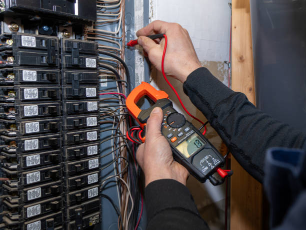 Best Affordable Electrician  in Grosse Pointe, MI