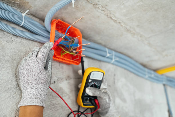 Best Electrical Rewiring Services  in Grosse Pointe, MI